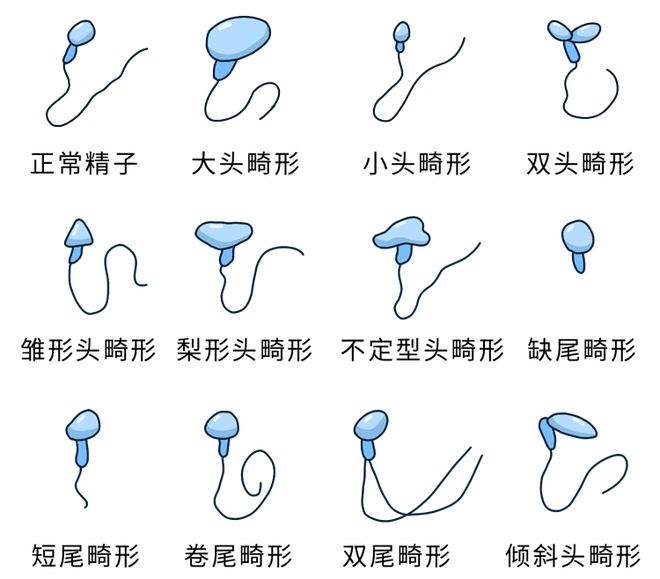 男性补硒会遗精吗