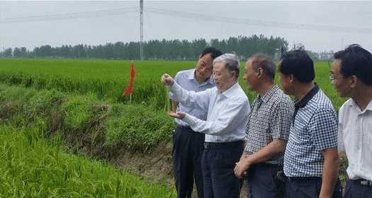 水稻种植怎么补硒