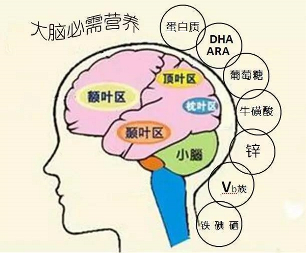 预防老年痴呆补硒