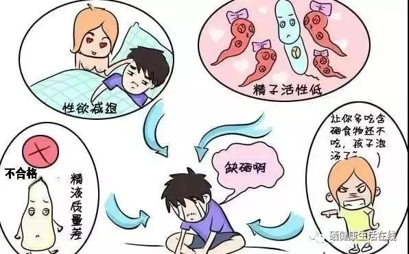 男人每天需要补硒