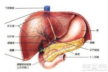 患了肺癌如何补硒