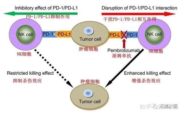 肺癌患者补硒剂量