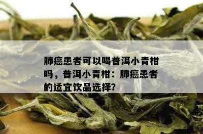 肺癌患者可以喝普洱小青柑吗，普洱小青柑：肺癌患者的适宜饮品选择？