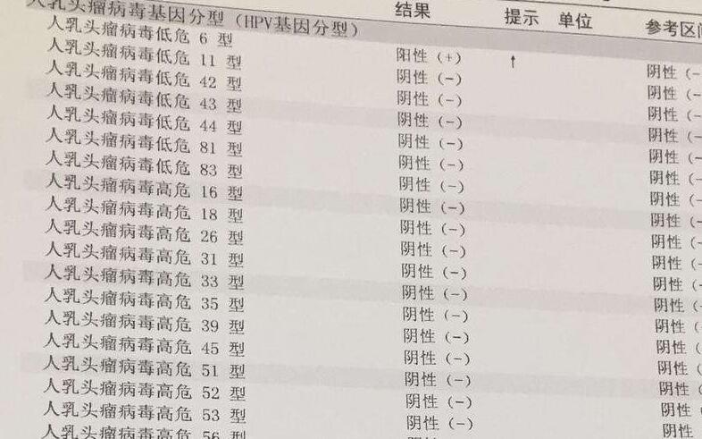 hpv高危阳补硒