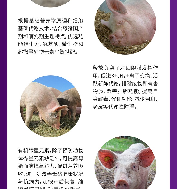 仔猪怎么补硒最快