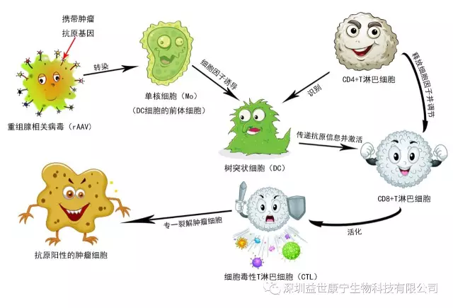 肿瘤患者补哪种硒