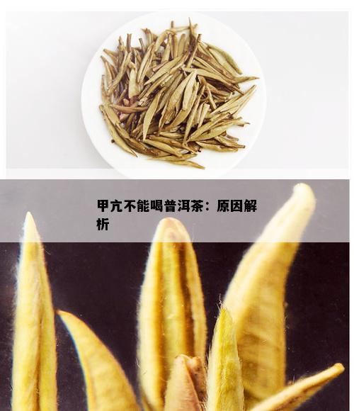 甲亢不能喝普洱茶：原因解析