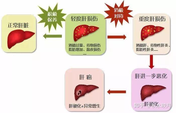 肝硬化 长期补硒