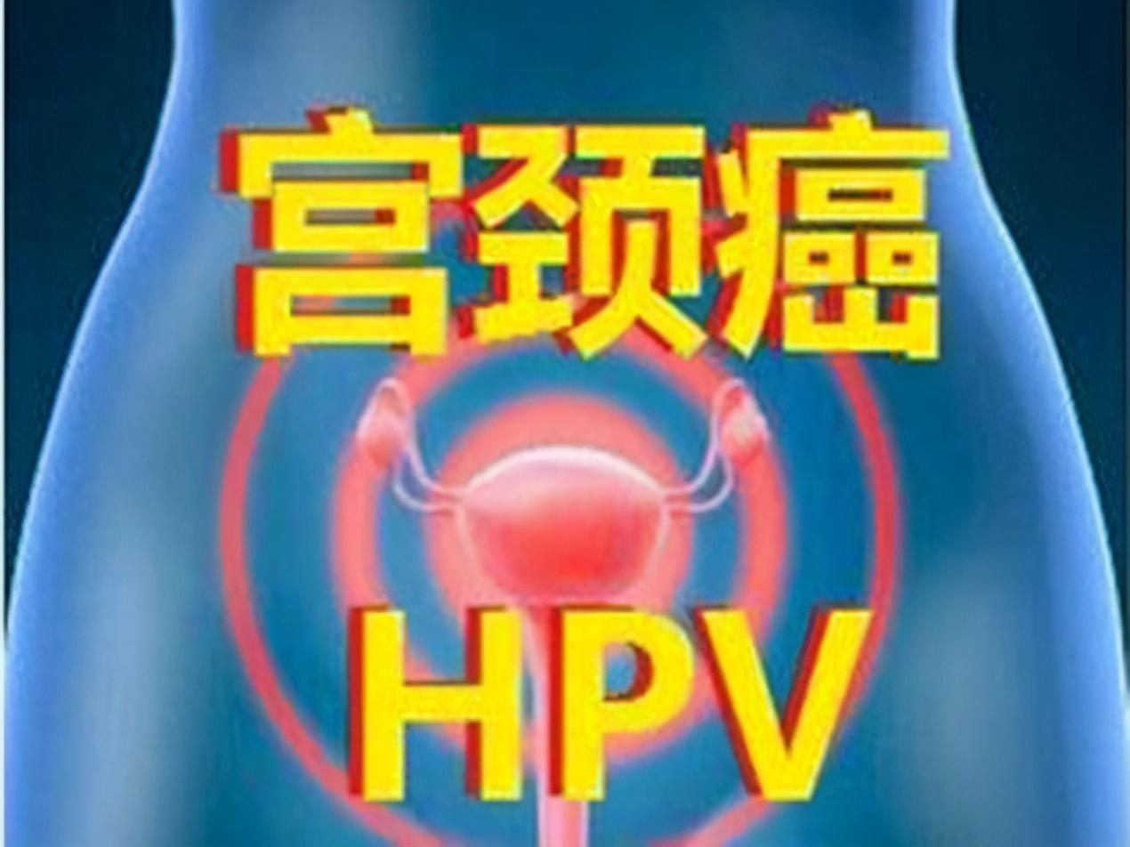 hpv高危型补硒