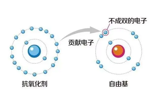 补硒过量有啥症状