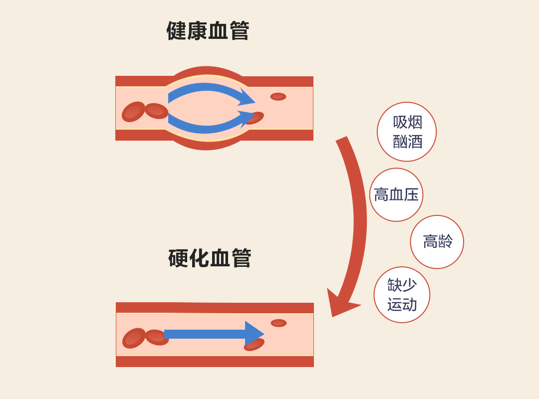 补硒的好处和害处