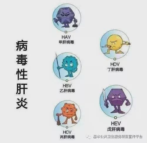 乙肝病人如何补硒