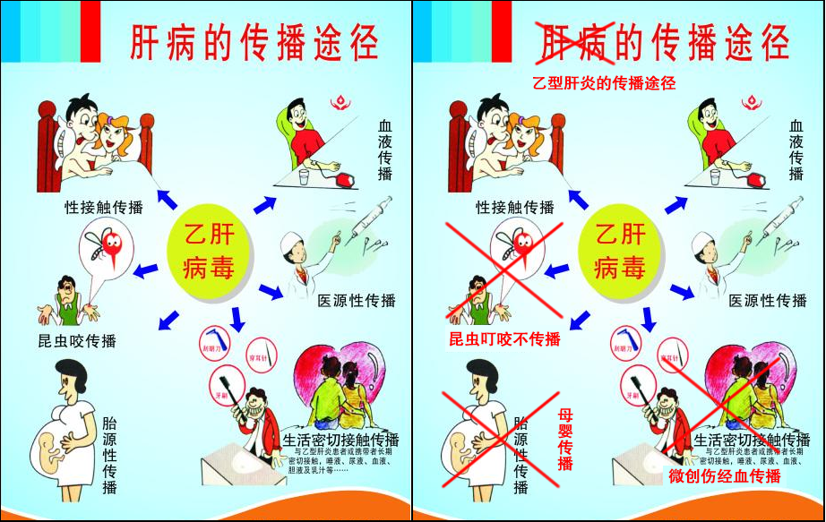 乙肝病人如何补硒