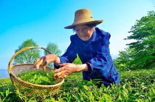 不同人群补硒量表