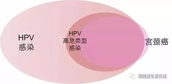 hpv扁平疣补硒