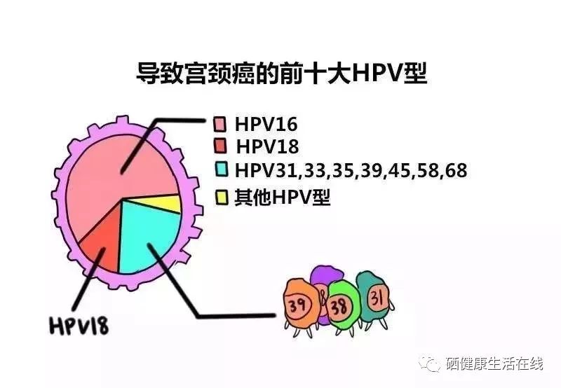 hpv扁平疣补硒