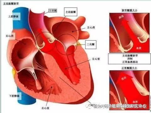 8岁孩子补硒行吗