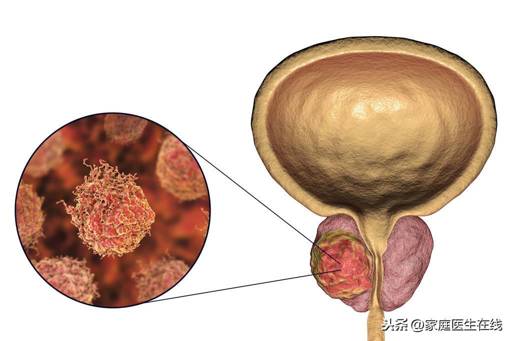 硒元素补雌激素吗