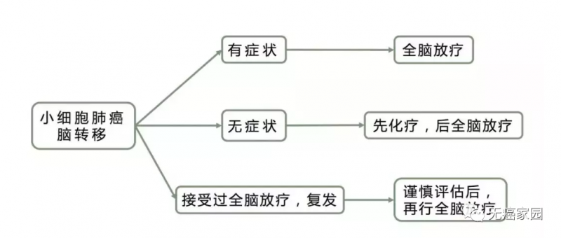 补硒能治愈肺癌吗