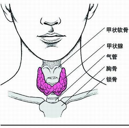 甲减患者最想了解的6件事全在这, 别再得病了还稀里糊涂