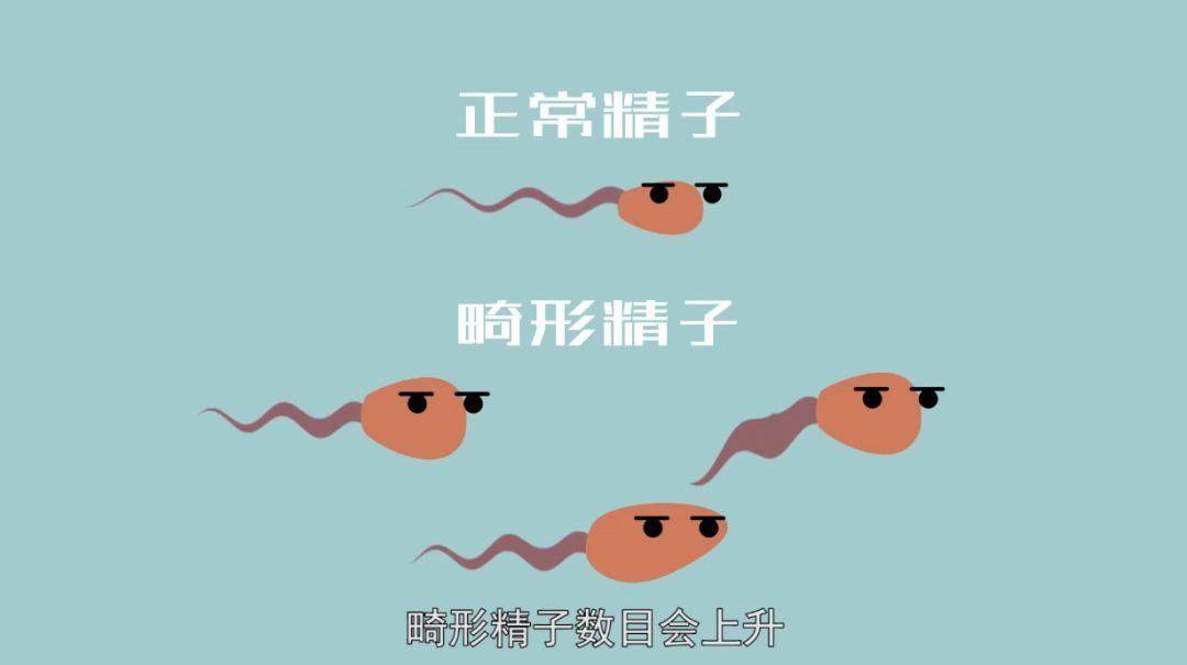 精子畸形率高补硒