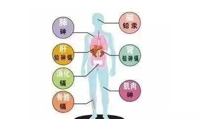 科学补硒重要吗吗