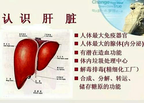 肝病为什么要补硒