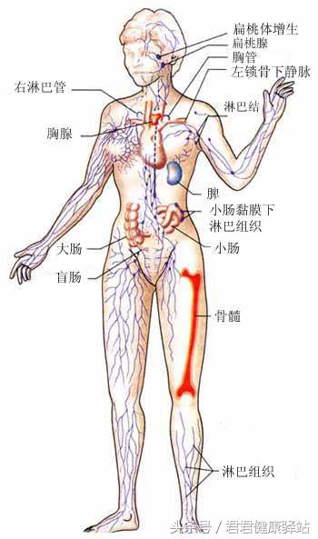 补硒能增加睡眠吗