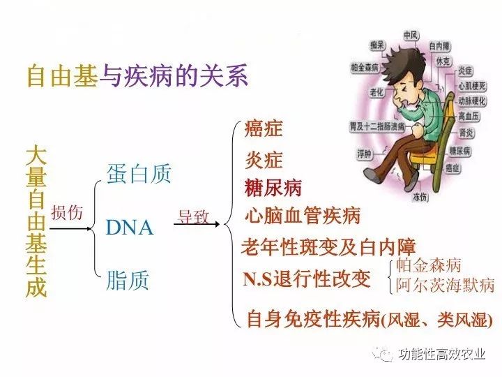 清除自由基 补硒