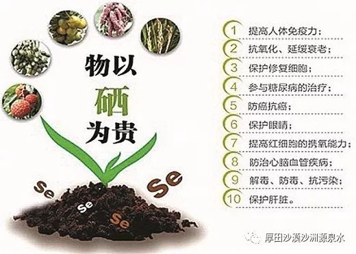 什么补硒锌药品好