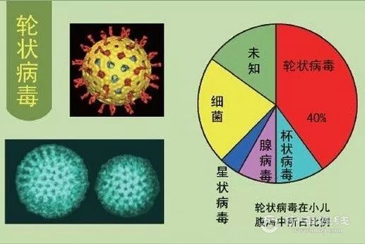 补硒会导致失眠吗