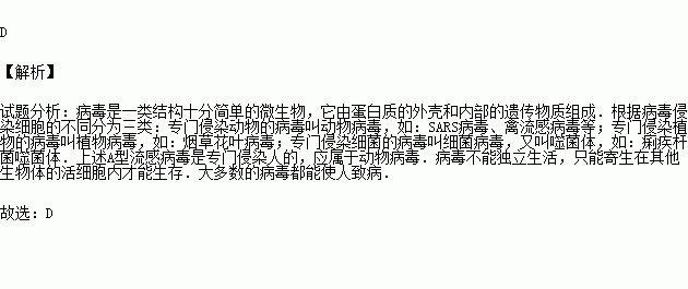 补硒会导致失眠吗