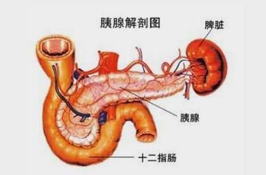 脑肿瘤需要补硒吗