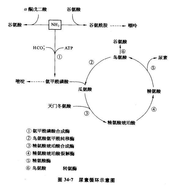 帕金森补硒可以吗