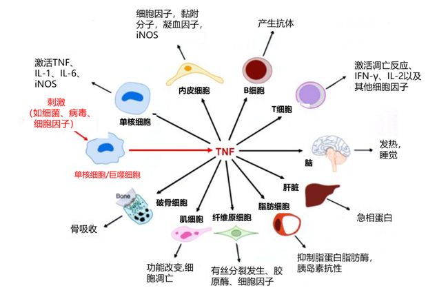 帕金森补硒可以吗