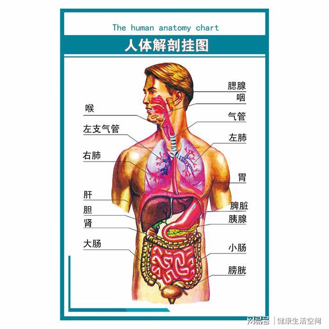 补硒能导致阴虚吗