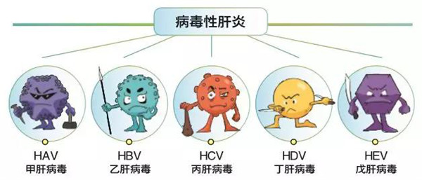 乙肝患者怎么补硒