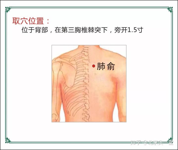 补硒治疗肺气不足