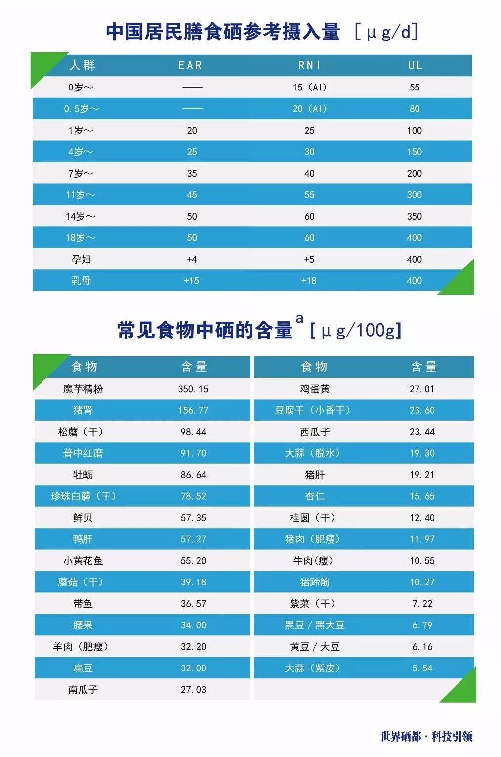 最新补硒的机制是