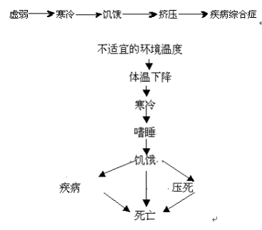 母猪补硒补钙的量