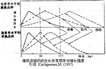 母猪补硒补钙的量