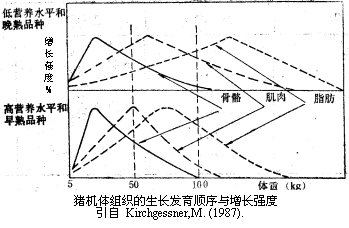 母猪补硒补钙的量