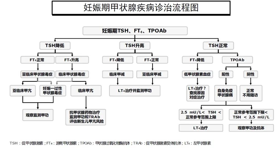 甲减补硒推荐药物