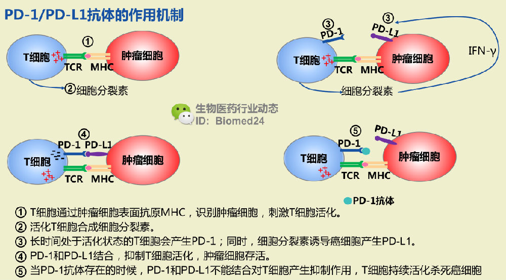 补硒对疱疹的作用