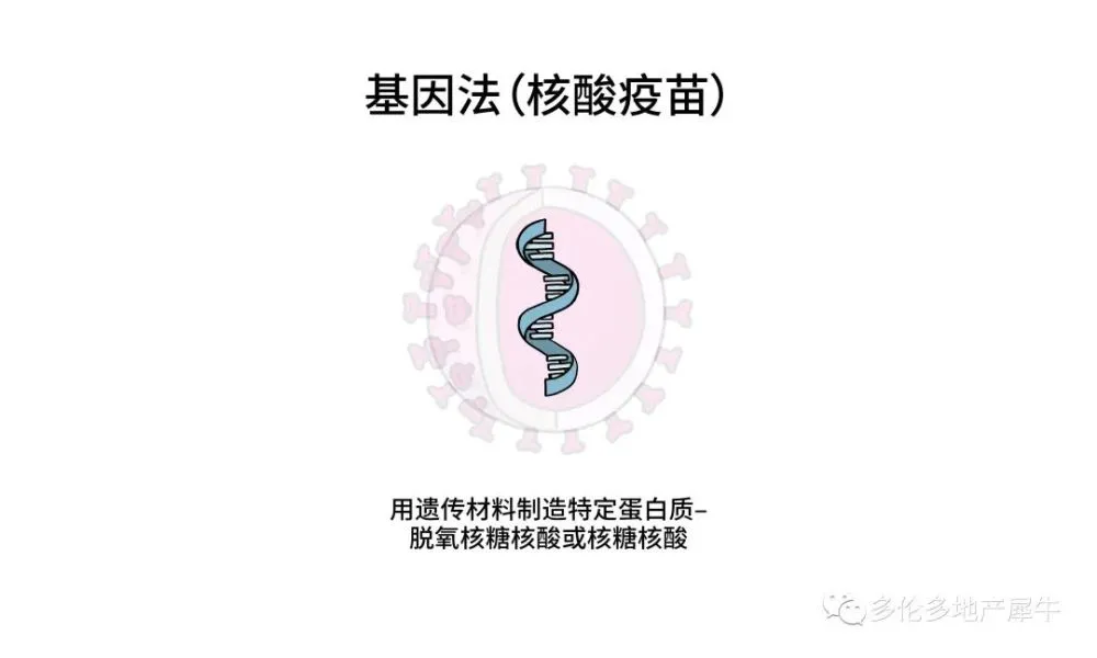 补硒预防新冠病毒