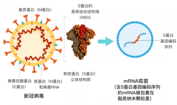 补硒预防新冠病毒