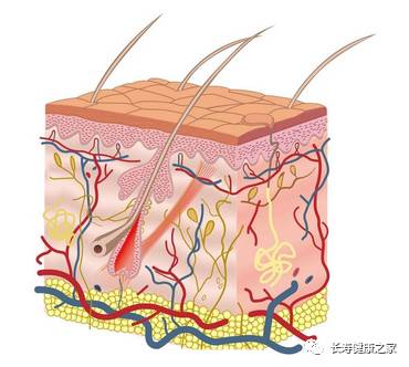 绝经后可以补硒吗