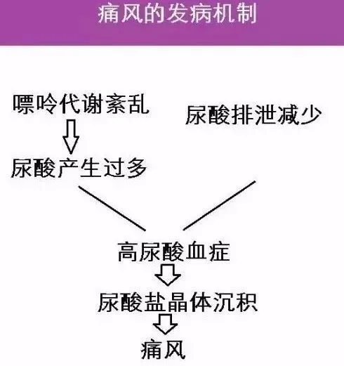 补硒可以治痛风么