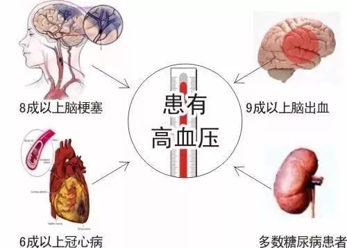 高血压为什么补硒