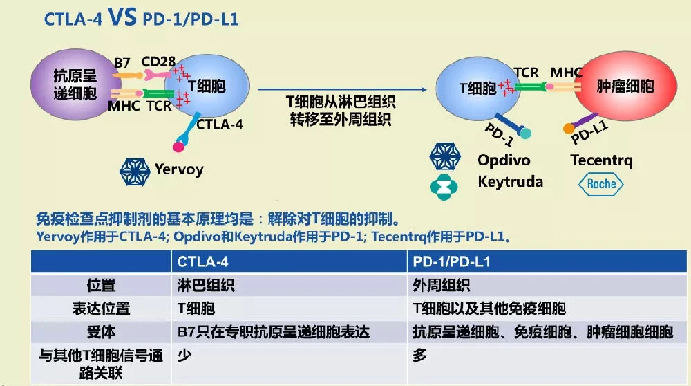 肺结节患者补硒吗